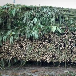 Issue 108 Farm -selvedge Outlet 1 27db2433 94ac 4e88 b2b7 2c36205f936d