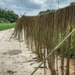 Issue 108 Farm -selvedge Outlet 3 afb5fcfa 931b 4c49 9e14 178d591c1882