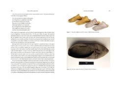 Shoes And The Georgian Man, Matthew McCormack -selvedge Outlet 680550 5