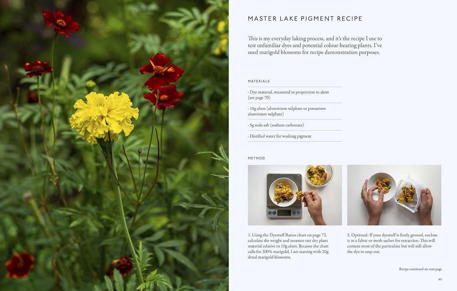 "PRE-ORDER" From Plant To Pigment, Natalie Stopka 13 "PRE-ORDER" From Plant To Pigment, Natalie Stopka - Image 11