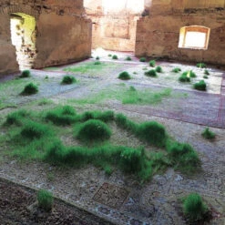 Issue 74 Wild (digital Only) 15 Issue 74 Wild (digital Only) -selvedge Outlet 75.3