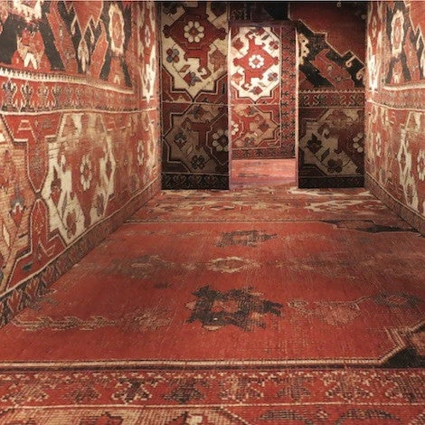 Issue 74 Wild (digital Only) 7 Issue 74 Wild (digital Only) - Image 5