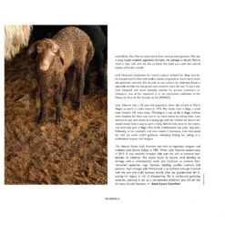 Issue 84 Surface -selvedge Outlet 84 Surface p16