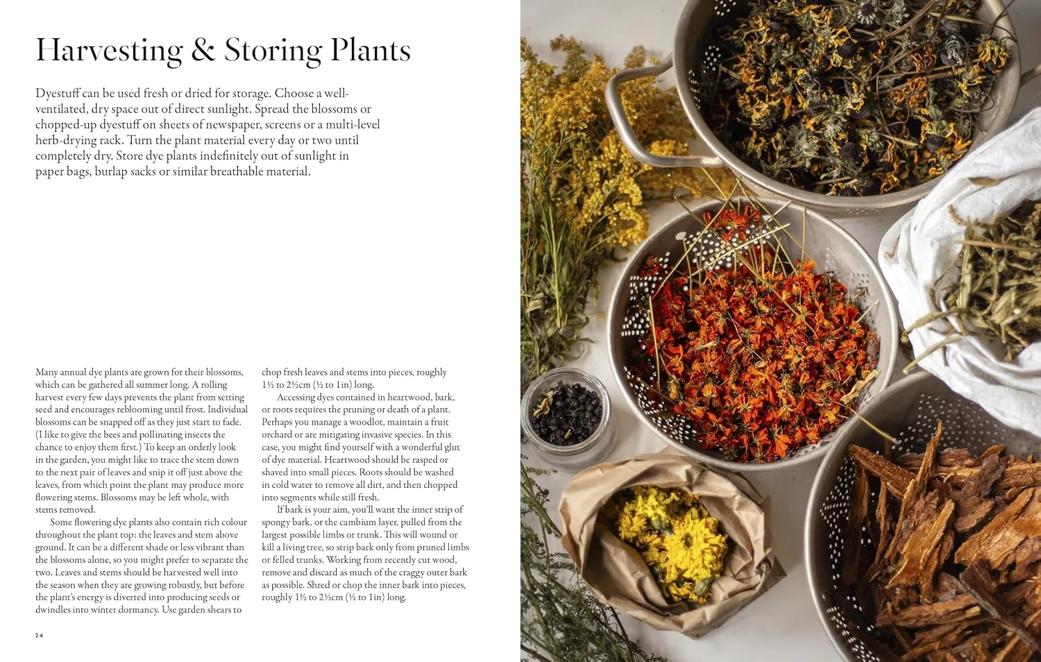 "PRE-ORDER" From Plant To Pigment, Natalie Stopka 15 "PRE-ORDER" From Plant To Pigment, Natalie Stopka - Image 13