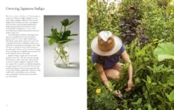 "PRE-ORDER" From Plant To Pigment, Natalie Stopka 23 "PRE-ORDER" From Plant To Pigment, Natalie Stopka -selvedge Outlet 91E7ToHFQZL. SL1500