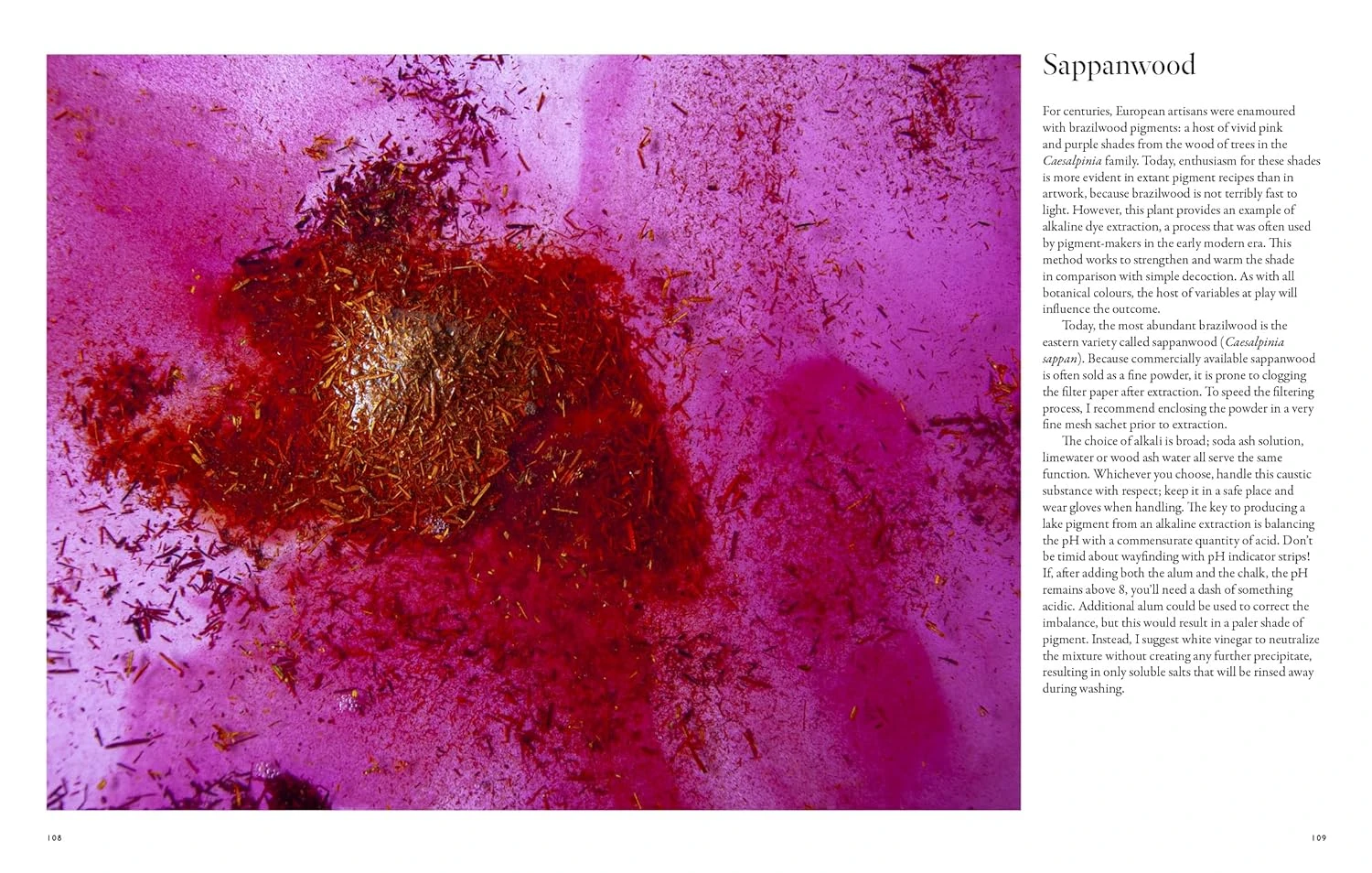 "PRE-ORDER" From Plant To Pigment, Natalie Stopka 12 "PRE-ORDER" From Plant To Pigment, Natalie Stopka - Image 10