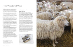 Wonder Of Wool: A Knitter's Guide To Pure Breed Sheep, Justine Lee, Jess Morency -selvedge Outlet 9781446315453 iart02
