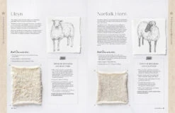 Wonder Of Wool: A Knitter's Guide To Pure Breed Sheep, Justine Lee, Jess Morency -selvedge Outlet 9781446315453 iart04