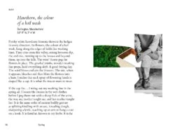 Fletcher's Almanac: Nature Encounters & Fashion Systems Through The Year, Kate Fletcher -selvedge Outlet 9781739316068.IN02