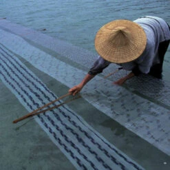 Issue 16 Archive -selvedge Outlet Archive 8