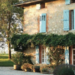 Issue 52 Botanical -selvedge Outlet Botanical 1 6a2ef0d7 c0d2 498a 8faa 3900140b8f6b