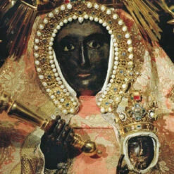 Issue 52 Botanical -selvedge Outlet Botanical 3