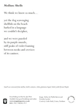 Walking The Block, Jane Weir -selvedge Outlet Card2 page 0002