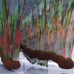 Issue 68 Carnival - Currently Only Available As A Digital Copy -selvedge Outlet Carnival 5