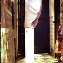 Issue 17 Debut - Currently Only Available As A Digital Copy -selvedge Outlet Debut 2