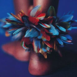 Issue 17 Debut - Currently Only Available As A Digital Copy -selvedge Outlet Debut 4