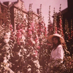 Issue 70 Delicate (digital Only) -selvedge Outlet Delicate 3