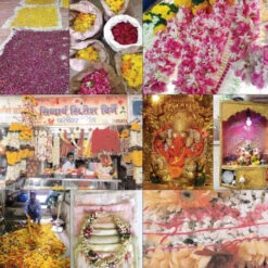 Issue 70 Delicate (digital Only) -selvedge Outlet Delicate 8