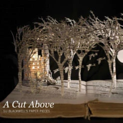 Issue 37 Dress Circle -selvedge Outlet DressCircle 3