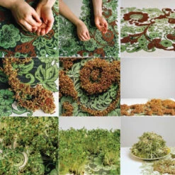 Issue 49 Evergreen -selvedge Outlet Evergreen 4