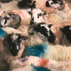 Issue 72 Green -selvedge Outlet Green 6