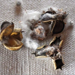 Issue 56 Hollywood 18 Issue 56 Hollywood -selvedge Outlet Hollywood 6