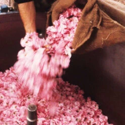 Issue 24 Indian Summer - Currently Only Available As A Digital Copy -selvedge Outlet IndianSummer 5