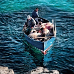 Issue 60 Knit (digital Only) 18 Issue 60 Knit (digital Only) -selvedge Outlet Knit 3