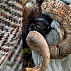 Issue 60 Knit (digital Only) 14 Issue 60 Knit (digital Only) -selvedge Outlet Knit 4