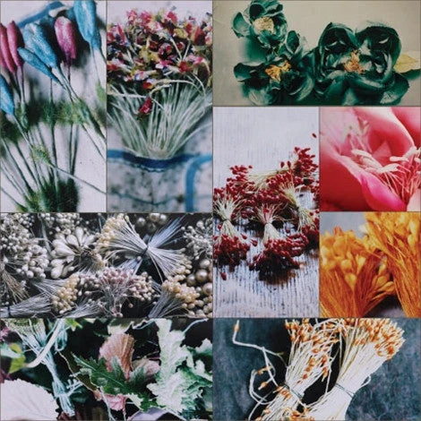 Issue 62 Thread (digital Only) 4 Issue 62 Thread (digital Only) - Image 2