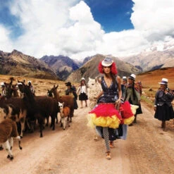 Issue 71 Southern 24 Issue 71 Southern -selvedge Outlet Large Selvedge 71 Digital 27