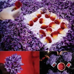 Issue 57 Meteorological - Currently Only Available As A Digital Copy -selvedge Outlet Meteorological 4