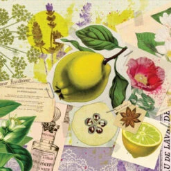 Issue 67 Migration -selvedge Outlet Migration 2