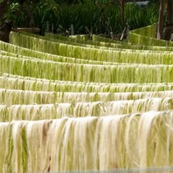 Issue 124 Rural -selvedge Outlet RosanaEscobar UnravelingtheCoffeeBag 11