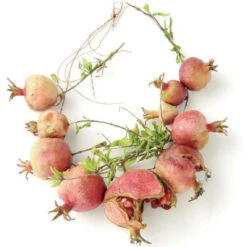 Issue 36 Roving -selvedge Outlet Roving 6