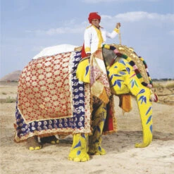 Issue 77 Chakra (digital Only) -selvedge Outlet SV77 DIGITAL FILE 18