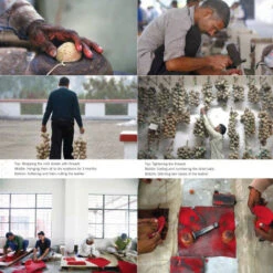 Issue 47 Sporting -selvedge Outlet Sporting 4