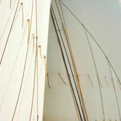 Issue 47 Sporting -selvedge Outlet Sporting 8