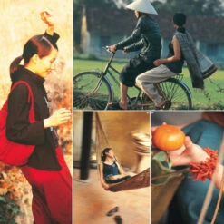 Issue 11 Vivid -selvedge Outlet Vivid 1