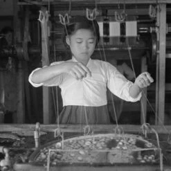 Issue 38 Zoological -selvedge Outlet Zoological 3