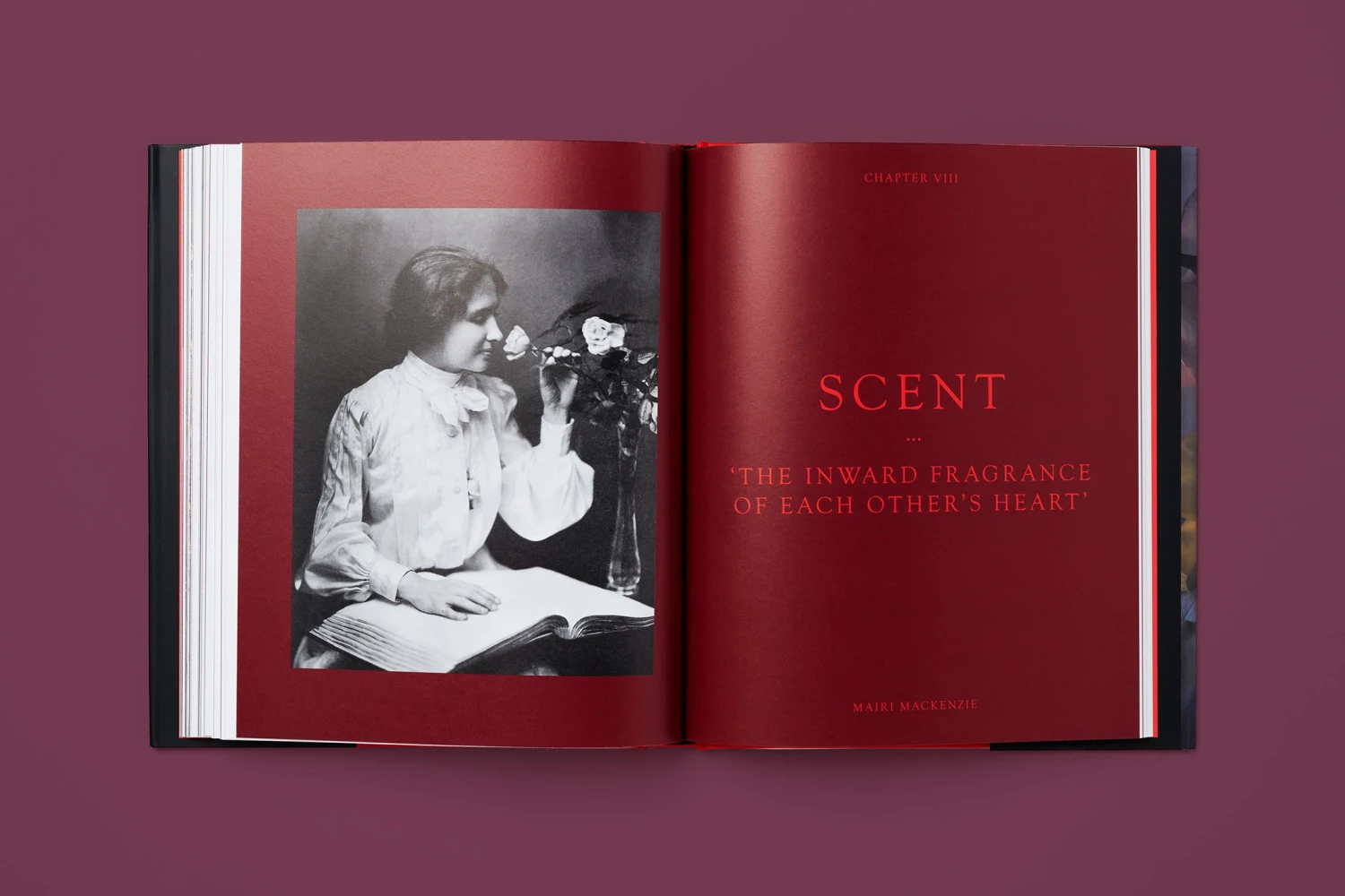 The Rose In Fashion: Ravishing, Amy De La Haye 12 The Rose In Fashion: Ravishing, Amy De La Haye - Image 10