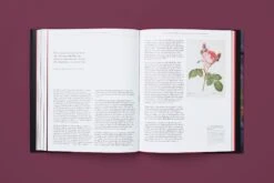 The Rose In Fashion: Ravishing, Amy De La Haye 24 The Rose In Fashion: Ravishing, Amy De La Haye -selvedge Outlet charliesmithdesign yale the rose book 12