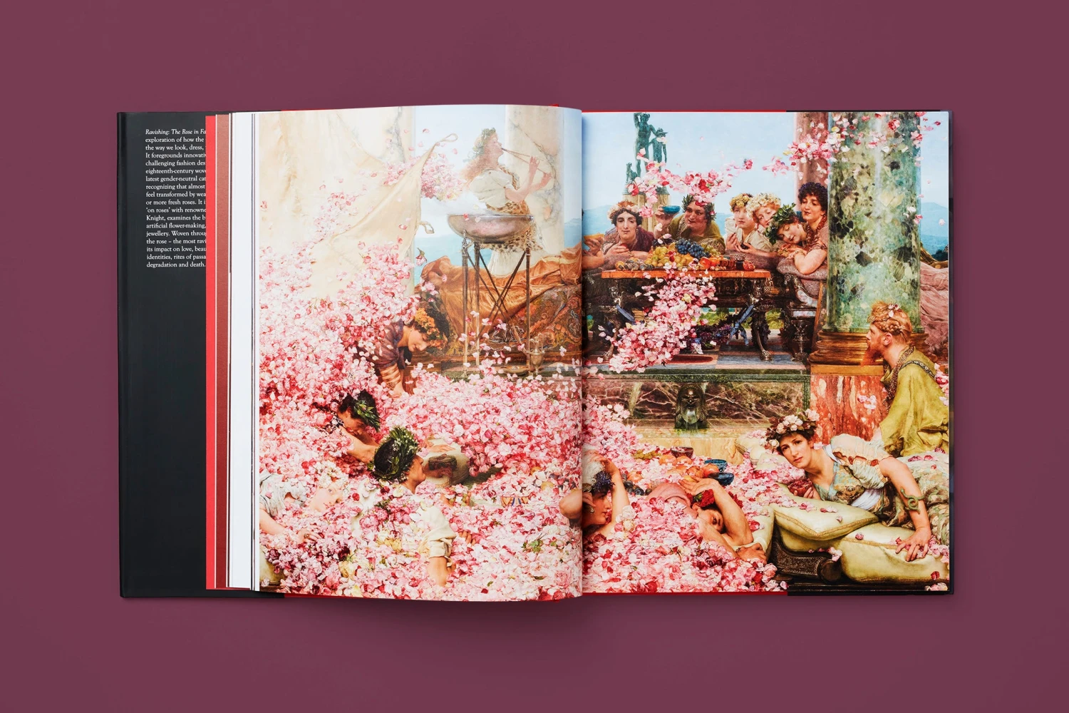 The Rose In Fashion: Ravishing, Amy De La Haye 8 The Rose In Fashion: Ravishing, Amy De La Haye - Image 6