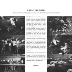 Issue 79 Luna -selvedge Outlet page 000048